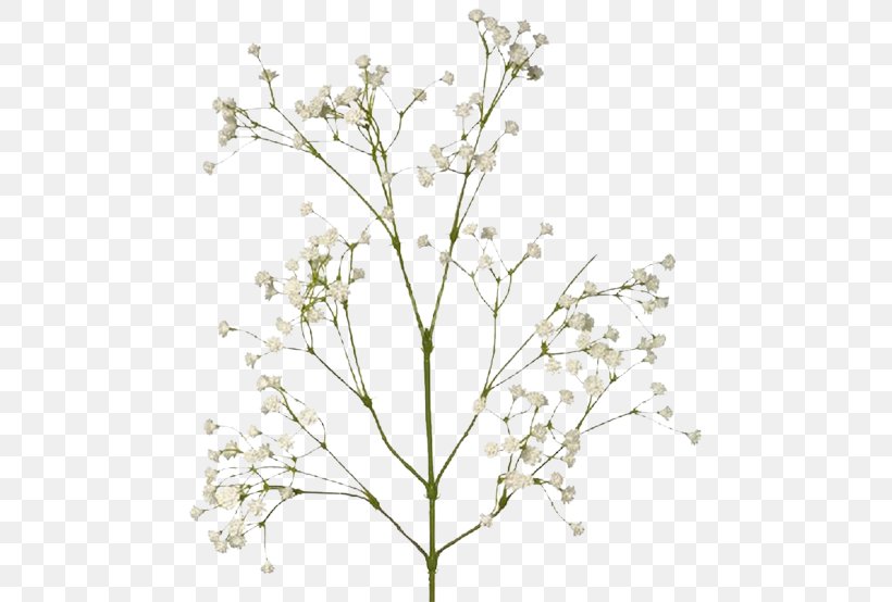 Cut Flowers Flower Bouquet Artificial Flower Pressed Flower Craft, PNG, 500x554px, Flower, Anthriscus, Artificial Flower, Branch, Cow Parsley Download Free