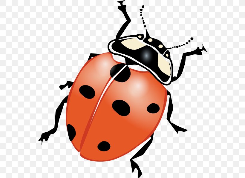 Ladybird Drawing Clip Art, PNG, 564x596px, Ladybird, Beetle, Blog, Drawing, Free Content Download Free