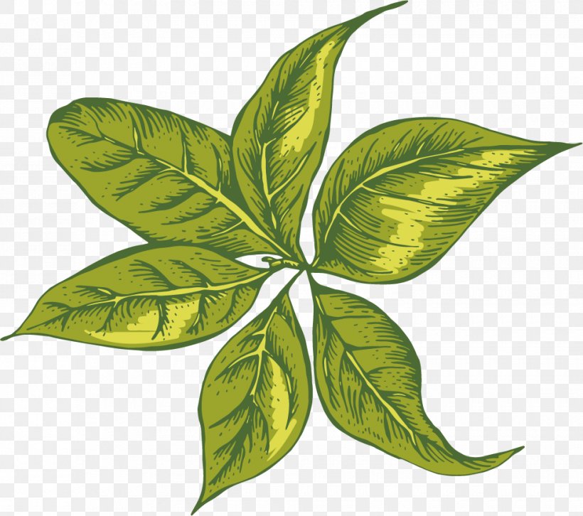 Leaf 美丽乡村 Jianshan College, PNG, 980x868px, Leaf, Cartoon, Chengdu, Green, News Download Free