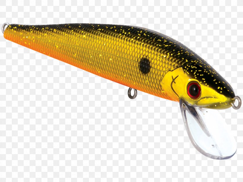 Stick Master Perch Fresh Water Fishing Baits & Lures, PNG, 1200x899px, Stick Master, Ac Power Plugs And Sockets, Bait, Bleeding, Fish Download Free
