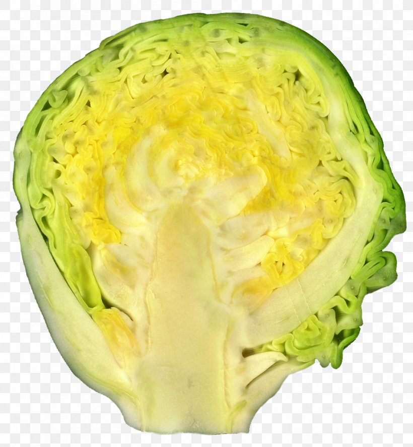 Cruciferous Vegetables Brussels Sprouts Cabbage Vegetarian Cuisine, PNG, 946x1024px, Cruciferous Vegetables, Brassica Oleracea Var Italica, Broccoli, Brussels Sprouts, Cabbage Download Free
