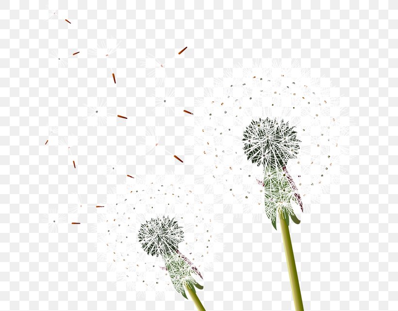 Common Dandelion Euclidean Vector, PNG, 650x641px, Common Dandelion, Color, Dandelion, Flora, Floral Design Download Free