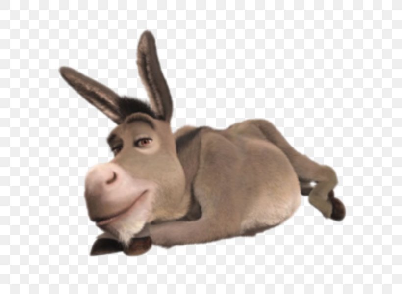Donkey Princess Fiona Shrek The Musical Shrek Film Series, PNG, 600x600px, Donkey, Cattle Like Mammal, Cow Goat Family, Drawing, Goat Antelope Download Free