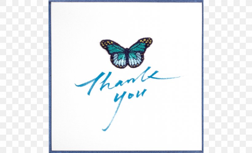 Insect Turquoise Font, PNG, 1600x977px, Insect, Blue, Butterfly, Invertebrate, Membrane Winged Insect Download Free