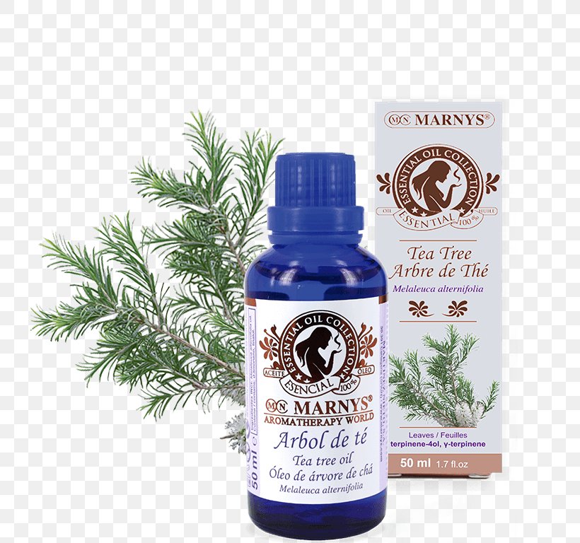 Marny's Oil Tea Tree Essential Oil 15Ml. 15 Ml Narrow-leaved Paperbark Distillation, PNG, 766x768px, Tea, Cosmetics, Distillation, Essential Oil, Leaf Download Free