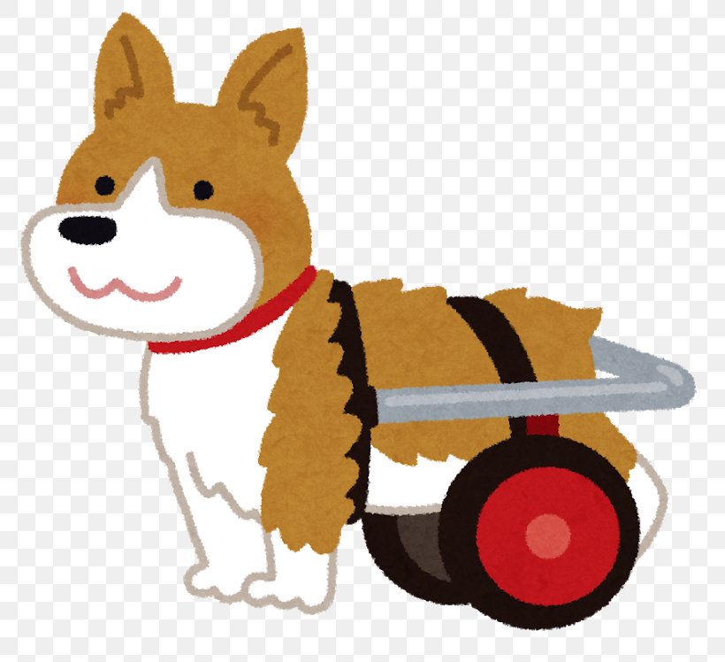 Cat Pembroke Welsh Corgi Puppy Wheelchair Herding Dog, PNG, 800x748px, Cat, Carnivoran, Cat Like Mammal, Dog, Dog Breed Download Free