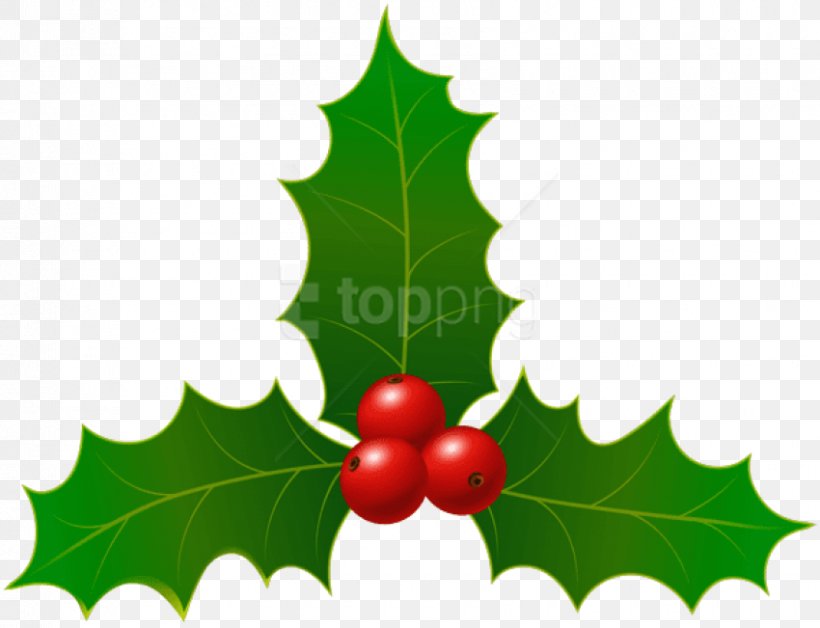 Christmas Tree Leaves, PNG, 850x651px, Common Holly, American Holly, Aquifoliales, Art Museum, Christmas Day Download Free
