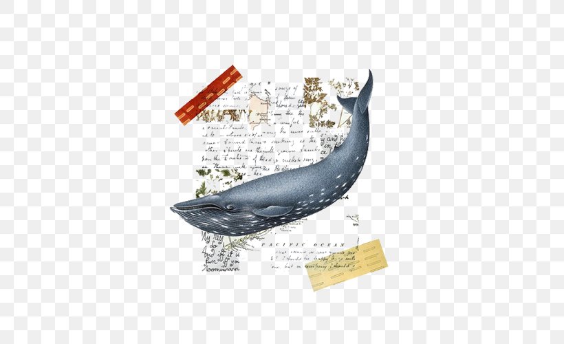 Collage Whale Art Poster, PNG, 500x500px, Collage, Architecture, Art, Brand, Graphic Arts Download Free