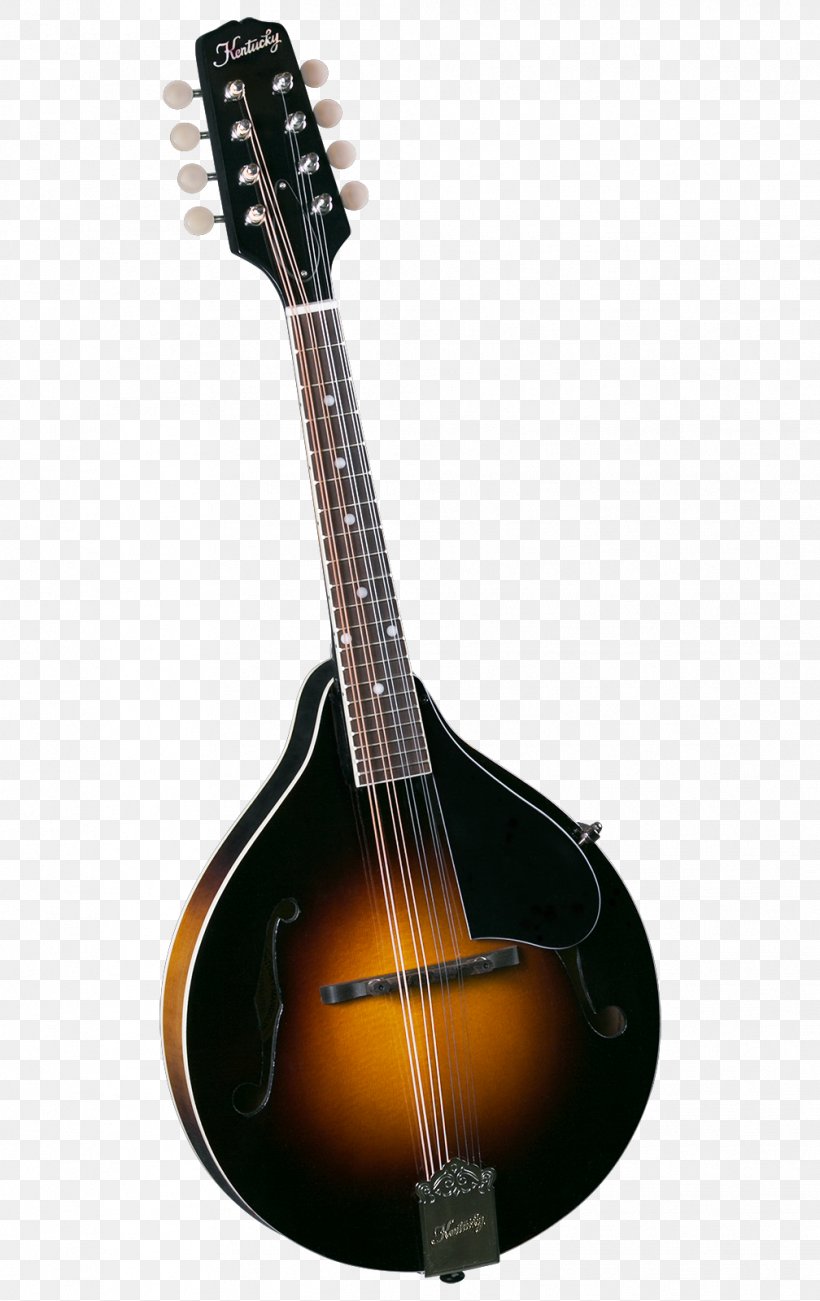 Mandolin Musical Instruments Sound Hole Musician Bluegrass, PNG, 1008x1600px, Watercolor, Cartoon, Flower, Frame, Heart Download Free