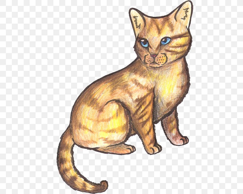 Whiskers Wildcat Tabby Cat Domestic Short-haired Cat, PNG, 502x657px, Whiskers, Asian, Canidae, Carnivoran, Cartoon Download Free