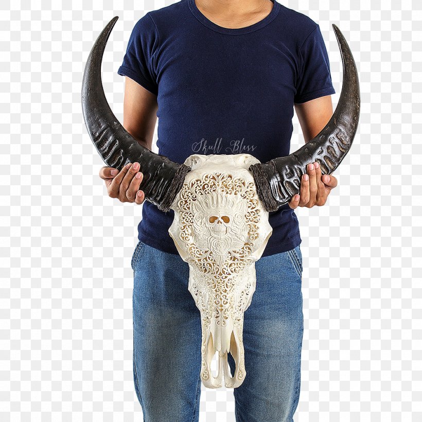 Cattle Skull Horn Orbit Face, PNG, 1000x1000px, Cattle, Cattle Like Mammal, Face, Horn, Long Dark Download Free