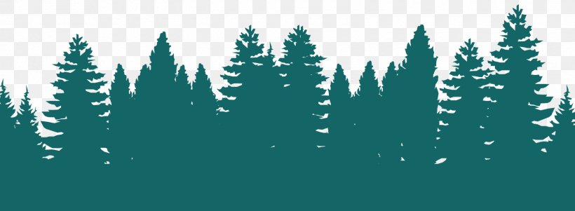 Forest Silhouette Tree Clip Art, PNG, 1600x588px, Forest, Blue, Conifer, Fir, Oldgrowth Forest Download Free