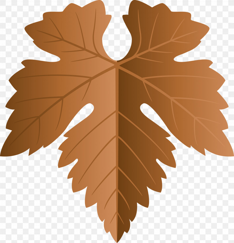 Grapes Leaf Leaf, PNG, 2893x3000px, Grapes Leaf, Black Maple, Flower, Grape Leaves, Leaf Download Free