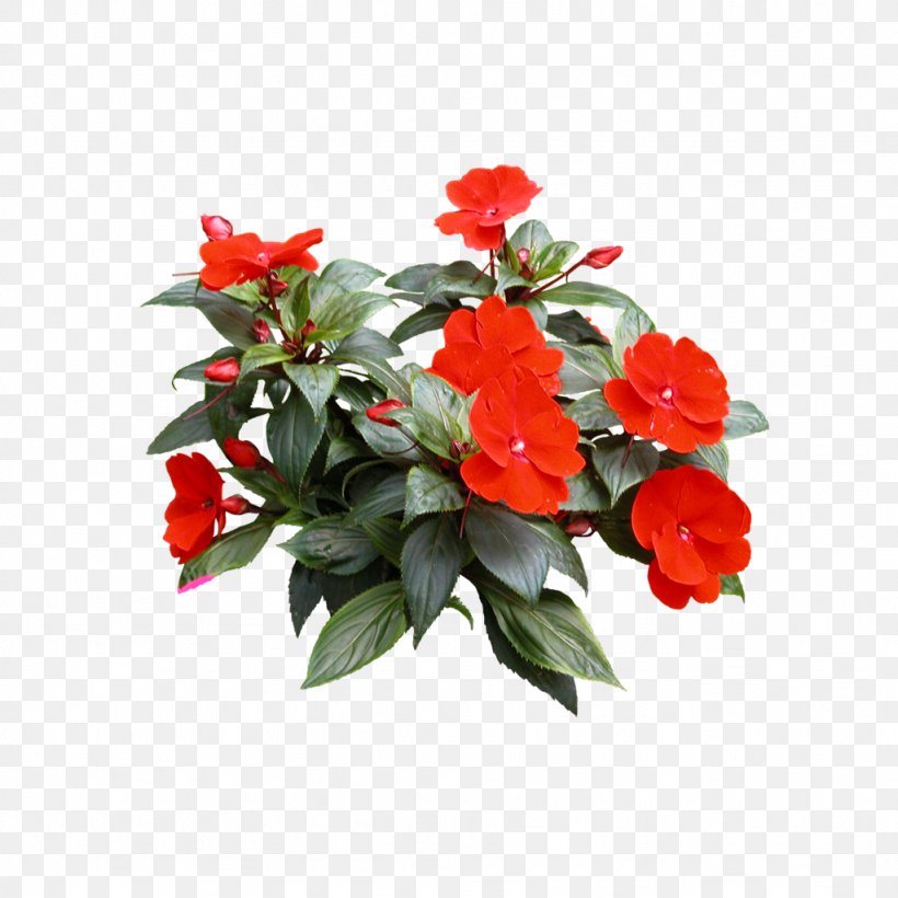 Houseplant Flower Tree, PNG, 1024x1024px, Plant, Annual Plant, Artificial Flower, Azalea, Begonia Download Free