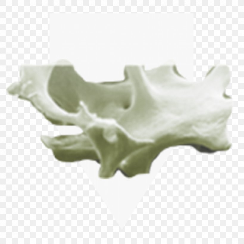 Jaw, PNG, 1080x1080px, Jaw Download Free