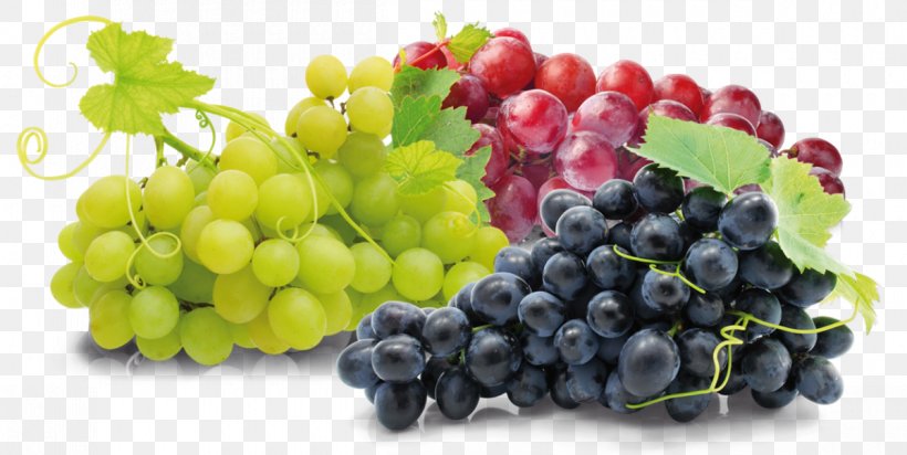 Nutrient Dietary Fiber Dietary Supplement Food Grape, PNG, 1200x603px, Nutrient, Diet, Dietary Fiber, Dietary Supplement, Eating Download Free