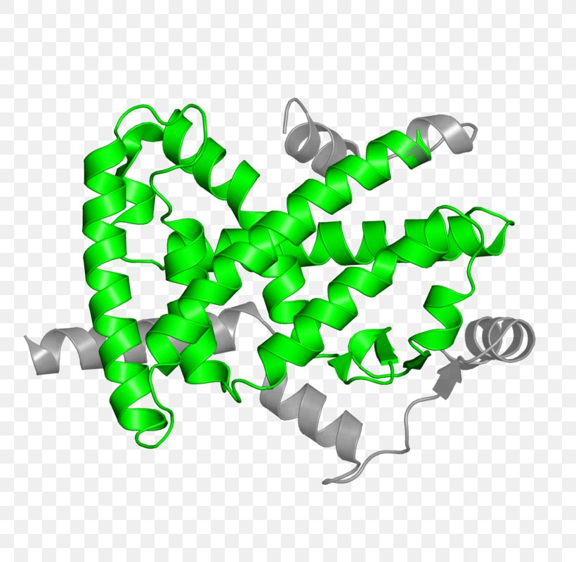 Steroid Hormone Receptor Ligand, PNG, 800x800px, Receptor, Anabolic Steroid, Dose, Green, Hormone Download Free