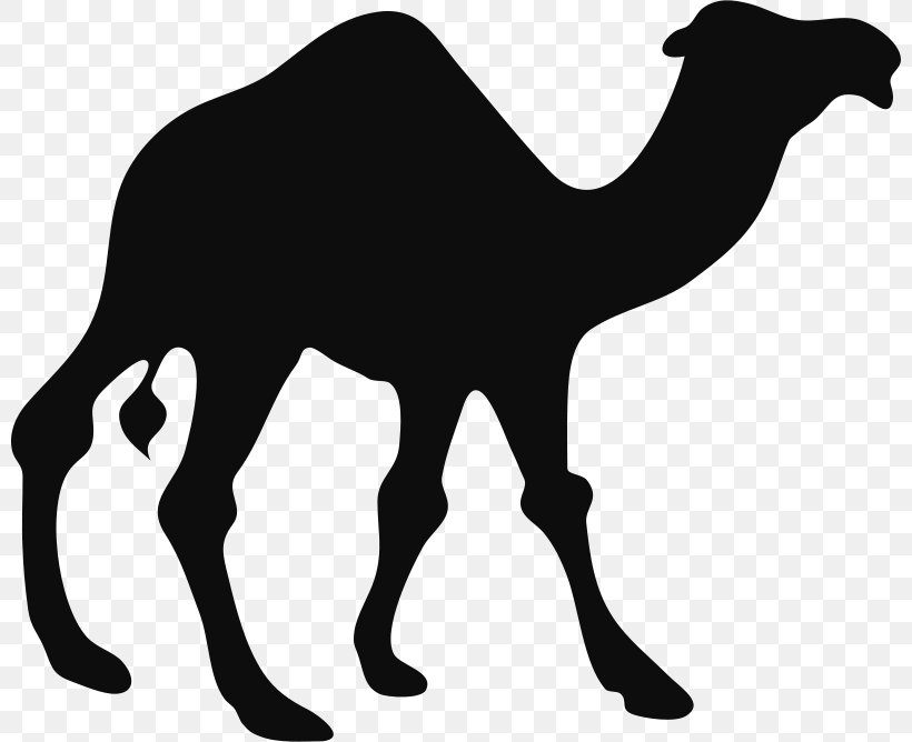 Bactrian Camel Dromedary Silhouette Clip Art, PNG, 800x668px, Bactrian Camel, Arabian Camel, Black And White, Camel, Camel Like Mammal Download Free