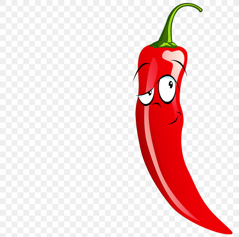 Chili Pepper Jalapeño Vegetable Malagueta Pepper Tabasco Pepper, PNG, 1600x1588px, Chili Pepper, Capsicum, Cartoon, Cayenne Pepper, Food Download Free
