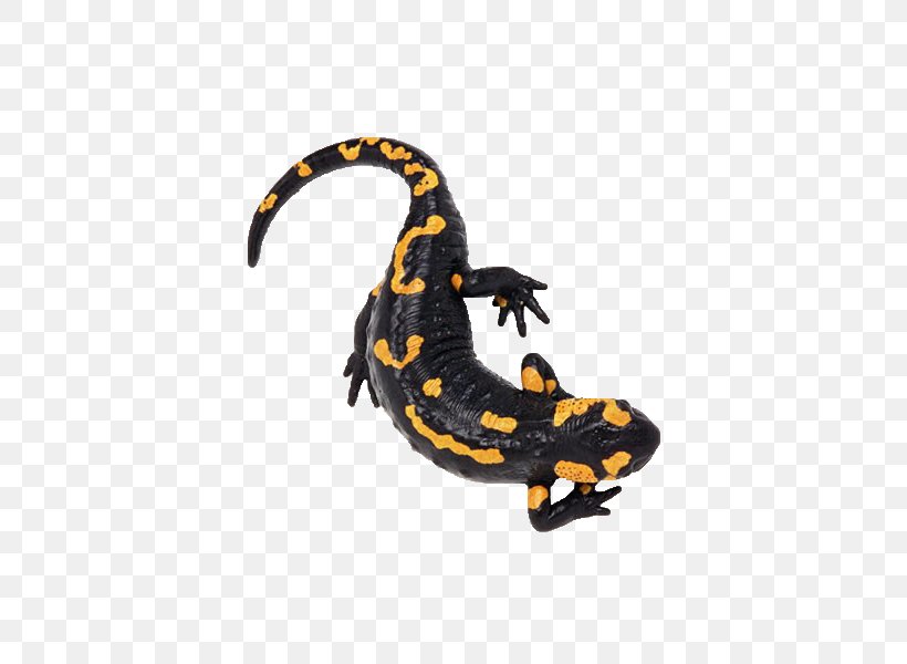 Fire Salamander Icon, PNG, 426x600px, Newt, Alpine Salamander, Amphibian, Axolotl, Fire Salamander Download Free