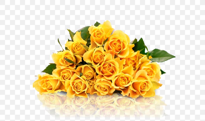 Garden Roses Yellow Stock Photography, PNG, 584x485px, Garden Roses, Blume, Cut Flowers, Floral Design, Floristry Download Free