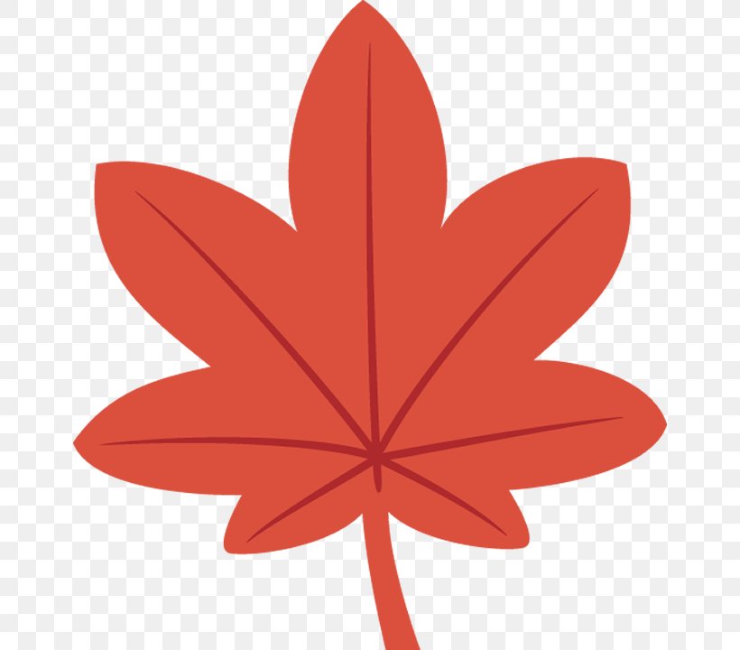Maple Leaf, PNG, 658x720px, Leaf, Flowering Plant, Maple Leaf, Orange, Petal Download Free