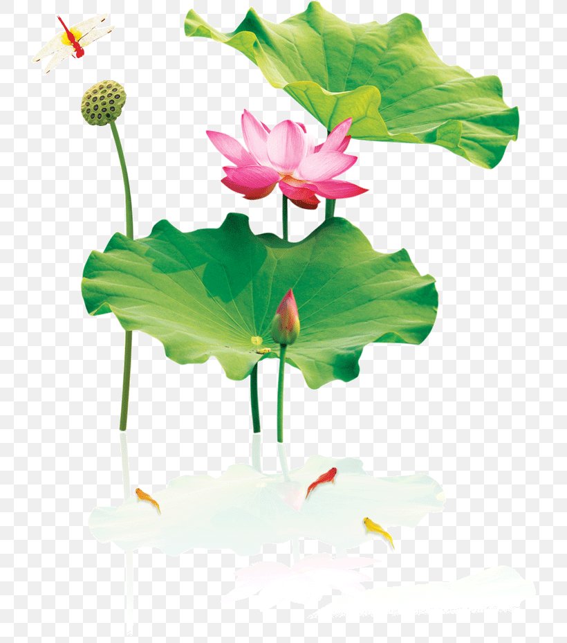 Nelumbo Nucifera Ink Wash Painting Download, PNG, 730x929px, Nelumbo Nucifera, Aquatic Plant, Chinoiserie, Color, Flora Download Free