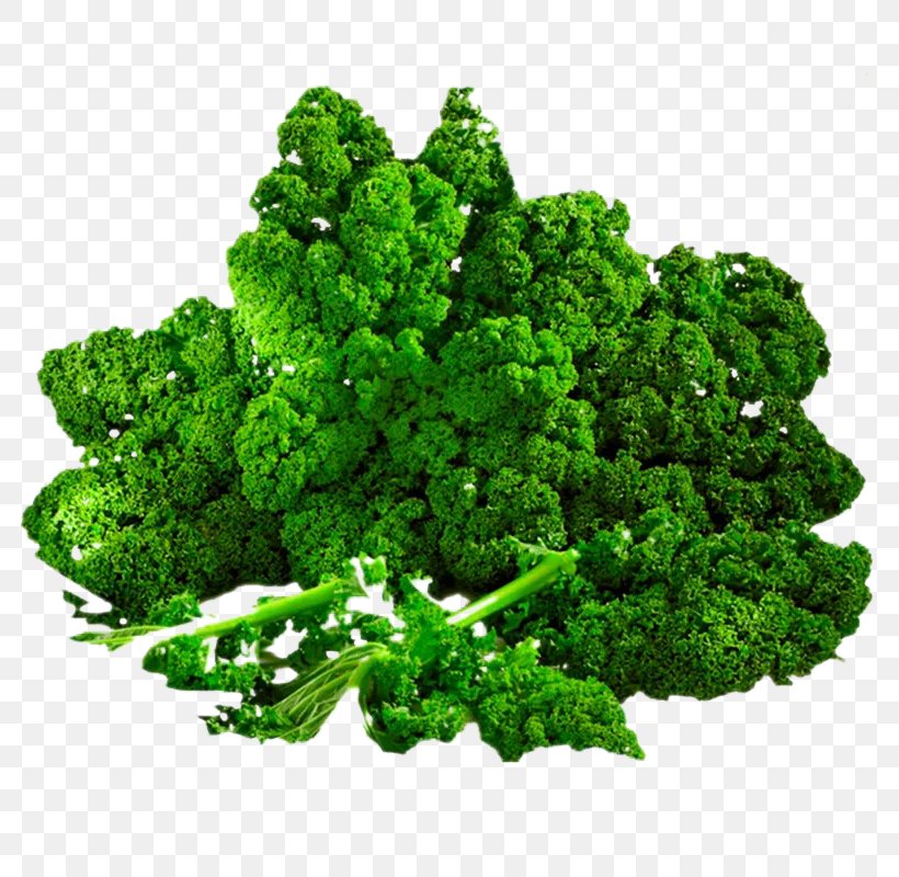 Savoy Cabbage Kale Vegetable Brussels Sprout, PNG, 800x800px, Cabbage, Brassica Oleracea, Broccoli, Brussels Sprout, Collard Greens Download Free