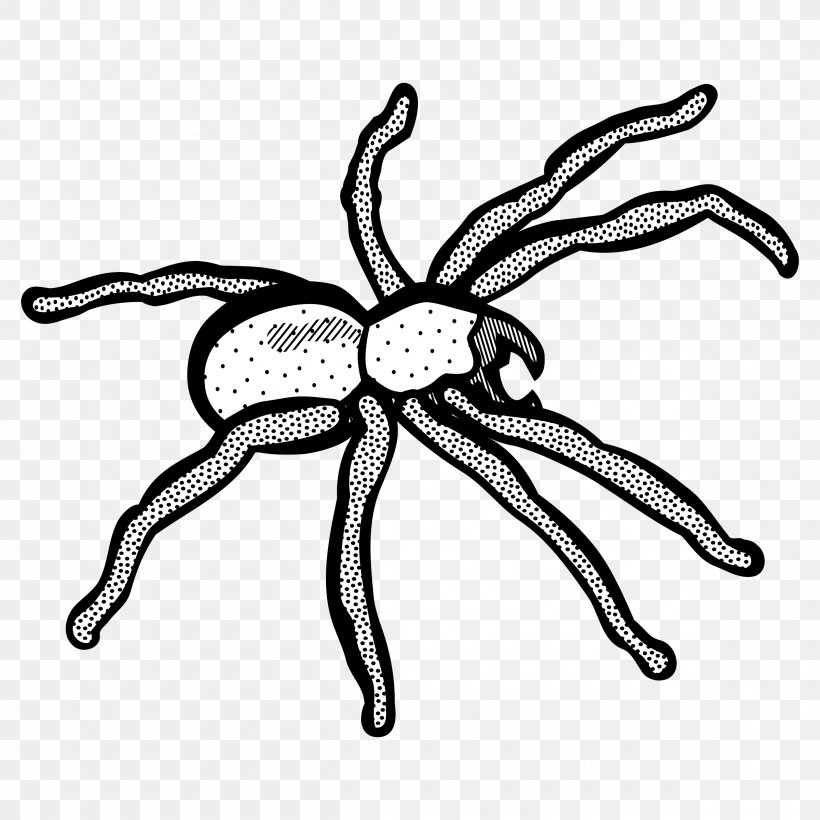 Spider Line Art Drawing Clip Art, PNG, 2400x2400px, Spider, Art, Artwork, Black And White, Coloring Book Download Free