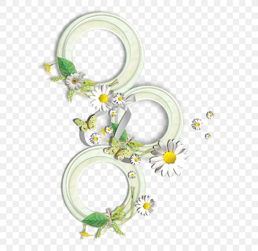 Download Preview, PNG, 642x800px, Preview, Blog, Body Jewelry, Common Daisy, Flower Download Free