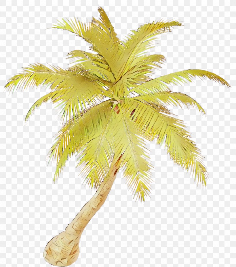 Palm Tree, PNG, 1178x1337px, Watercolor, Arecales, Coconut, Elaeis, Leaf Download Free