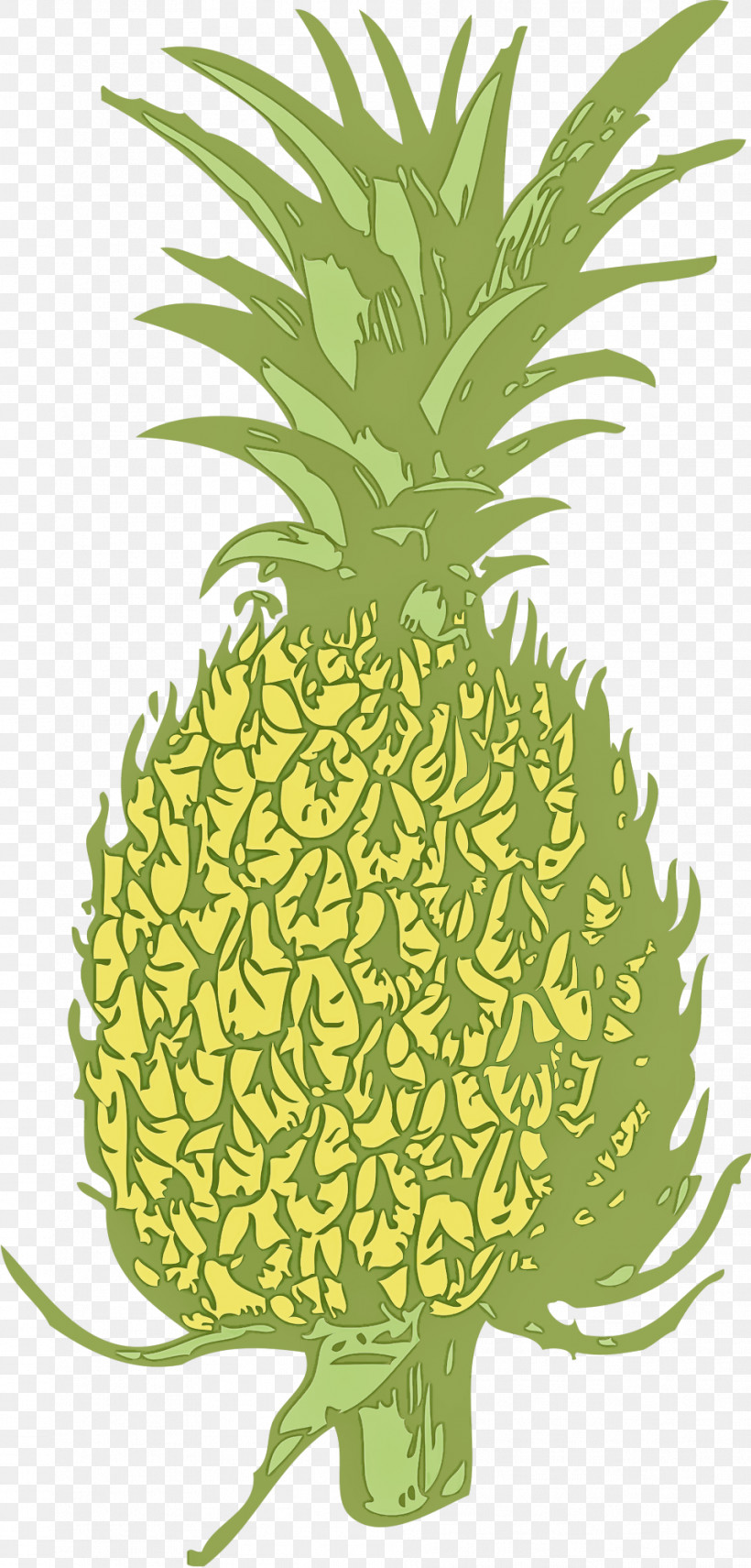 Pineapple, PNG, 958x1999px, Pineapple, Ananas, Food, Fruit, Plant Download Free