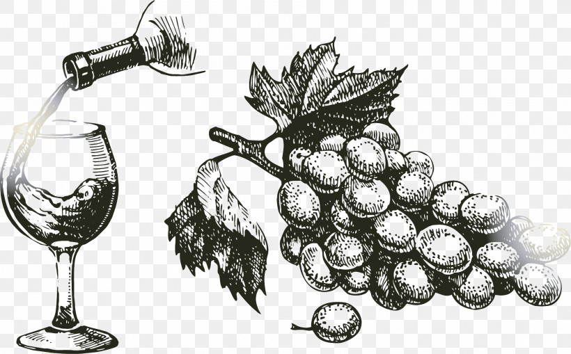 Wine Glass, PNG, 1888x1173px, Grape, Cafe Mathilde, Coffee, Common Grape Vine, Grape Juice Download Free