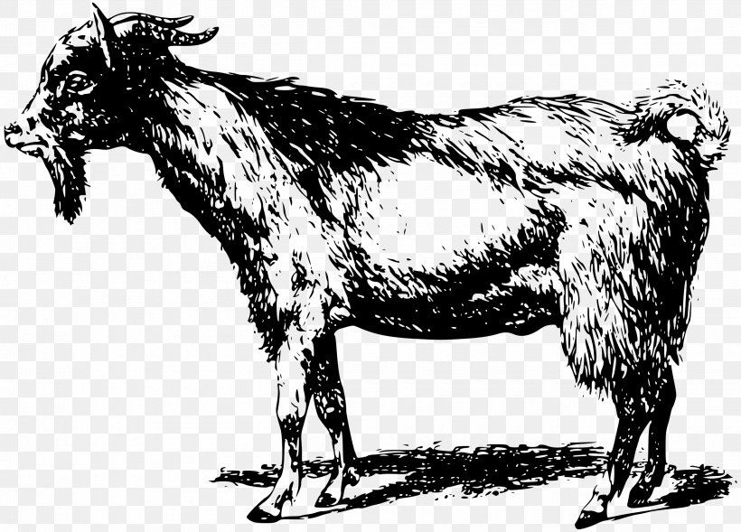 Boer Goat Sheep Anglo-Nubian Goat Clip Art, PNG, 2500x1796px, Boer Goat, Anglonubian Goat, Animal, Black And White, Cattle Like Mammal Download Free