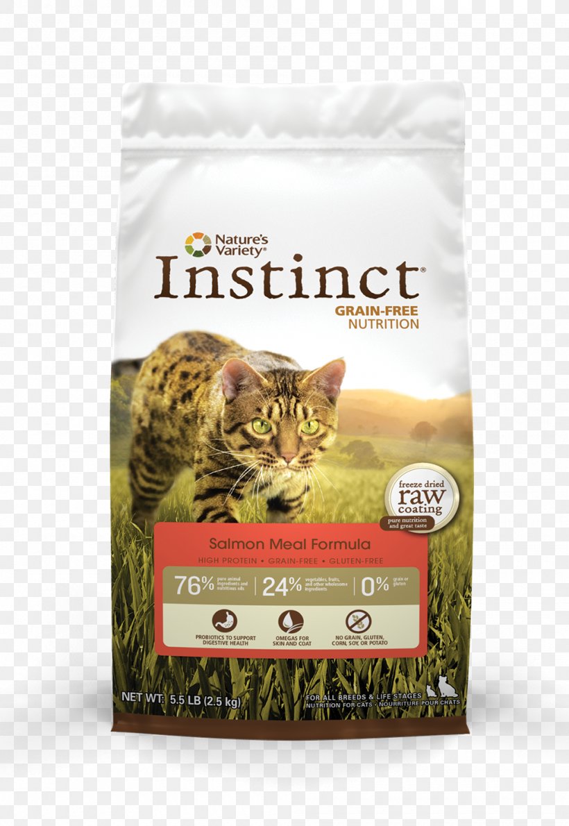 Cat Food Raw Foodism Nature's Variety Dog, PNG, 1000x1452px, Cat Food, Canning, Cat, Cat Like Mammal, Cat Supply Download Free