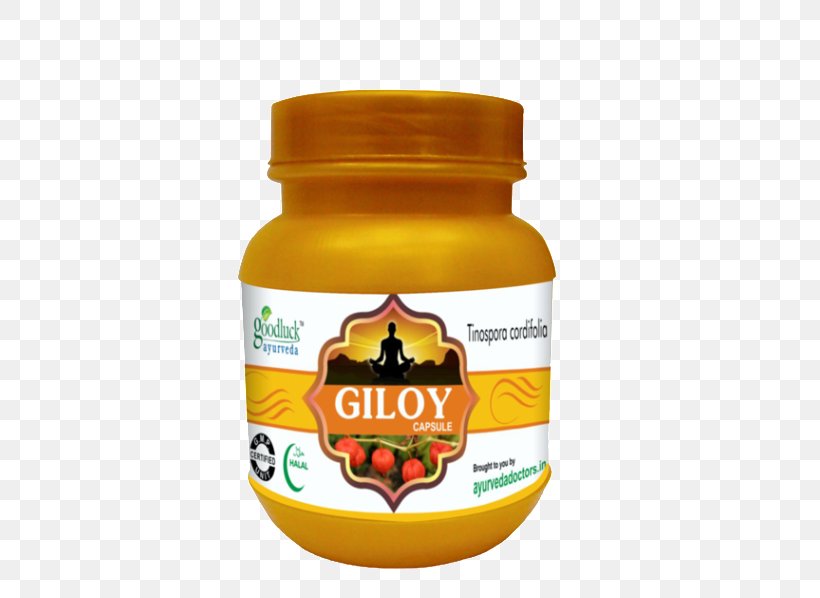 Dietary Supplement Garcinia Gummi-gutta Capsule Health Garcinia Cambogia -MaxGar, PNG, 570x598px, Dietary Supplement, Ayurveda, Capsule, Diabetes Mellitus, Flavor Download Free