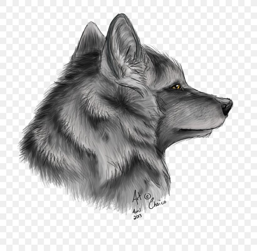 Drawing Pencil Dog Red Fox Sketch, PNG, 710x800px, Drawing, Art, Black And White, Carnivoran, Deviantart Download Free