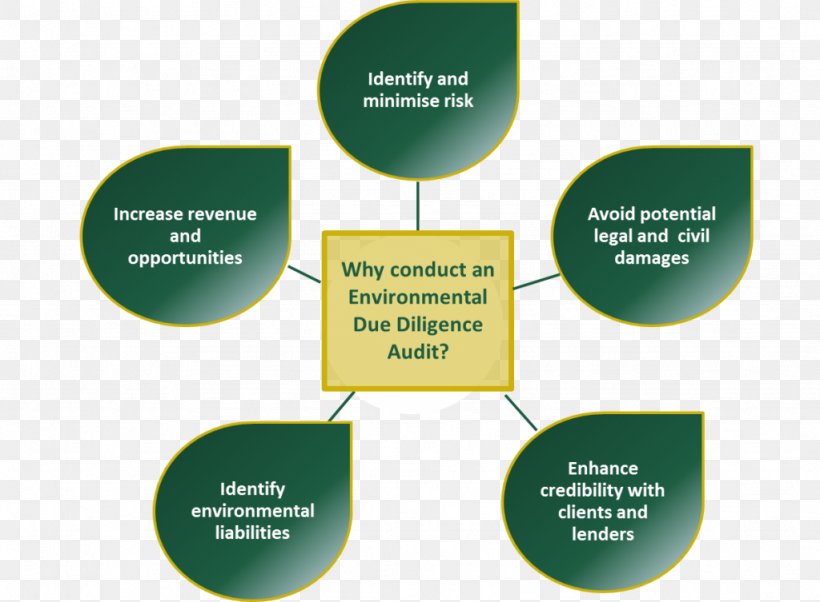Due Diligence Environmental Audit Organization Natural Environment, PNG, 1024x753px, Due Diligence, Asset, Audit, Brand, Business Download Free