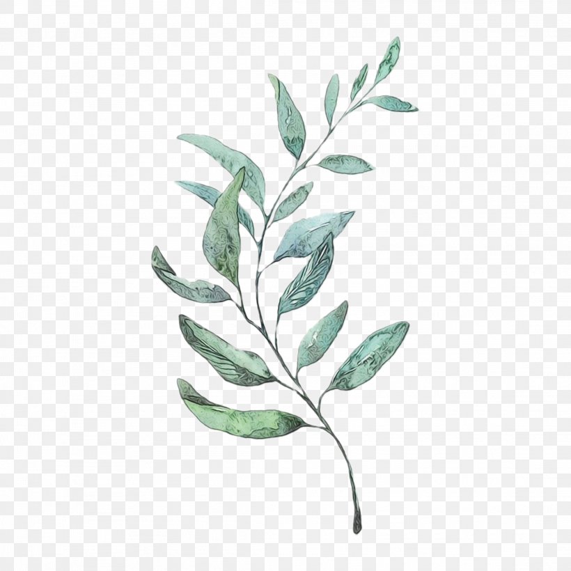 Watercolor Painting Clip Art Drawing, PNG, 2289x2289px, Watercolor Painting, Art, Botany, Branch, Cartoon Download Free