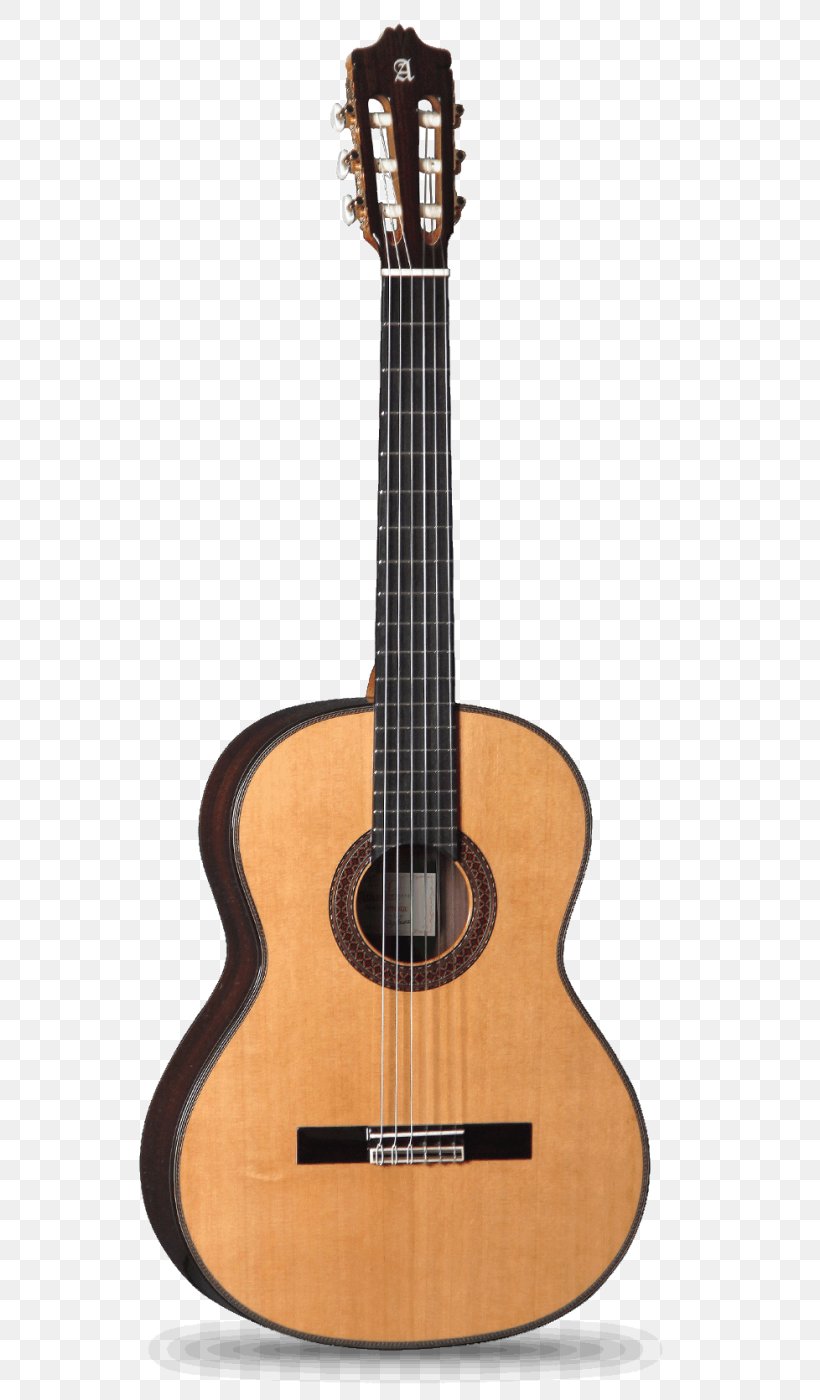 Alhambra Classical Guitar Acoustic Guitar C. F. Martin & Company, PNG, 788x1400px, Alhambra, Acoustic Electric Guitar, Acoustic Guitar, Bass Guitar, C F Martin Company Download Free