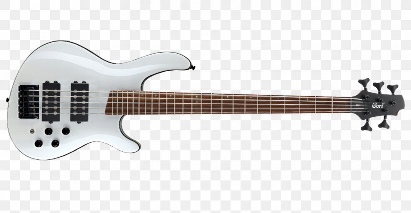 Fender Precision Bass Bass Guitar String Instruments Fingerboard, PNG, 1134x589px, Watercolor, Cartoon, Flower, Frame, Heart Download Free