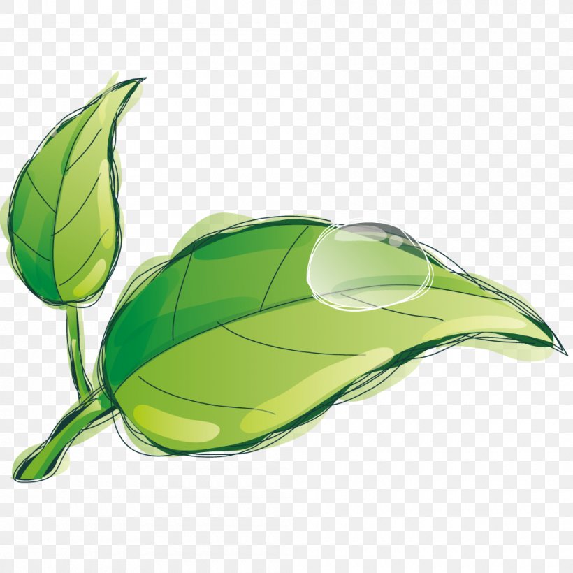 Leaf Drop, PNG, 1000x1000px, Leaf, Automotive Design, Designer, Drop, Google Images Download Free