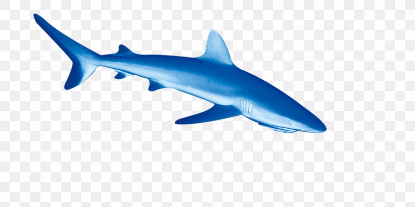Tiger Shark Deep Sea Fish Euclidean Vector, PNG, 1200x600px, Tiger Shark, Carcharhiniformes, Cartilaginous Fish, Deep Sea, Deep Sea Fish Download Free