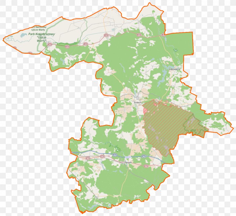Bory Tucholskie National Park Drawa National Park, PNG, 1195x1094px, National Park, Ecoregion, Encyclopedia, Ewidencja, Map Download Free