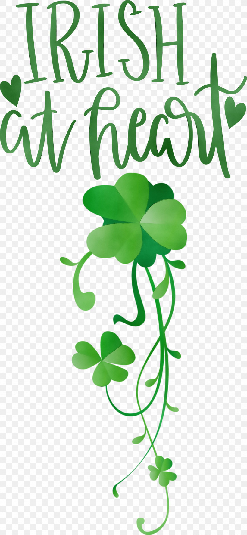 Floral Design, PNG, 1383x3000px, Shamrock, Clover, Floral Design, Green, Irish Download Free