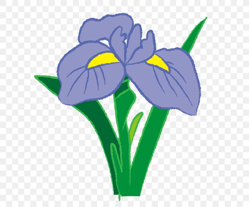 Irises Clip Art Illustration Image Openclipart, PNG, 680x680px, Irises, Flora, Flower, Flowering Plant, Iris Download Free