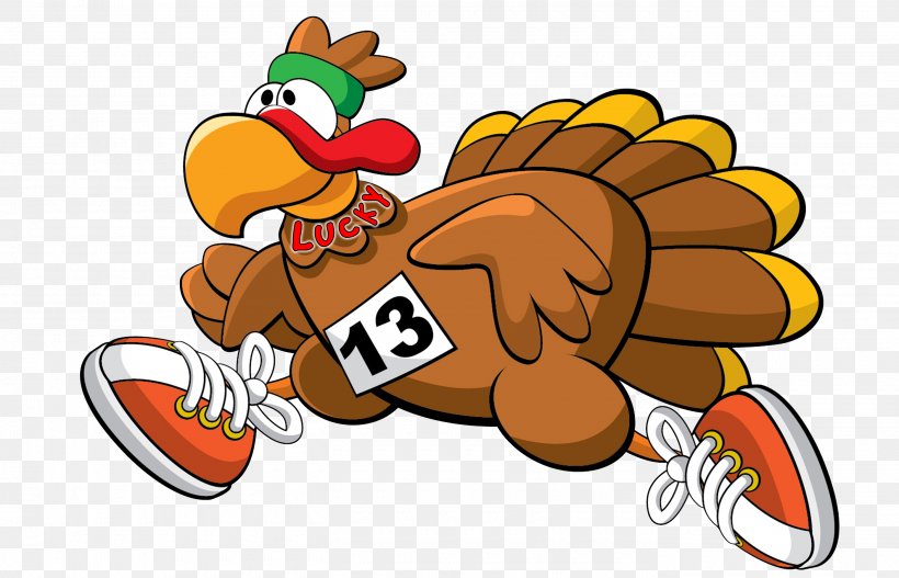 2017 Running Wild''s WILD TURKEY TROT 5K 5K Run Palm Springs Warwick, PNG, 2800x1800px, 5k Run, 2017, Turkey Trot, Beak, Bird Download Free