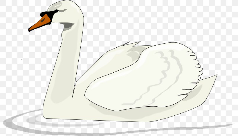 Black Swan Swan Lake Clip Art, PNG, 800x468px, Black Swan, Beak, Bird, Cygnini, Drawing Download Free