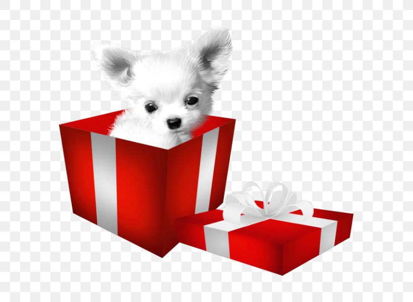 Chihuahua Bulldog Beagle Dogo Argentino Puppy, PNG, 600x600px, Chihuahua, Beagle, Bulldog, Carnivoran, Christmas Download Free