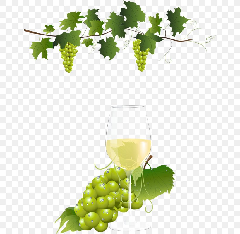 Grape Vine Wine Clip Art, PNG, 655x800px, Grape, Common Grape Vine, Digital Image, Drinkware, Food Download Free
